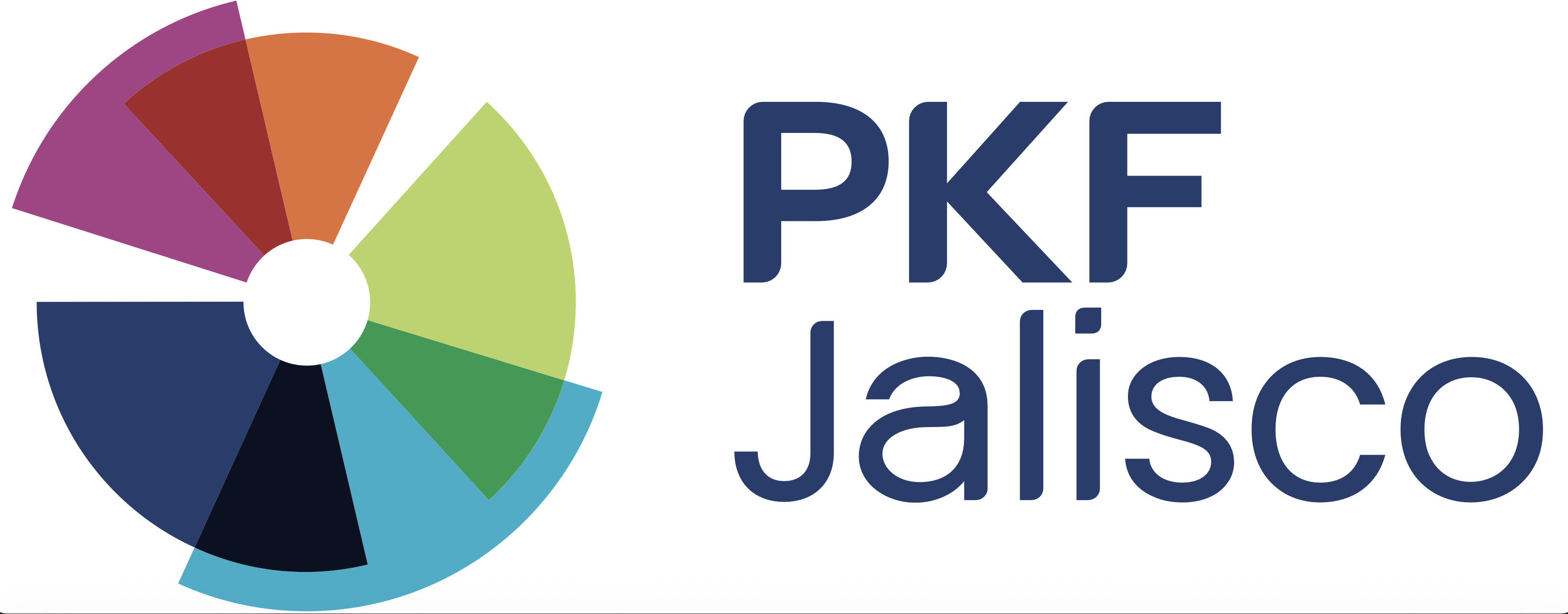 PKF Jalisco